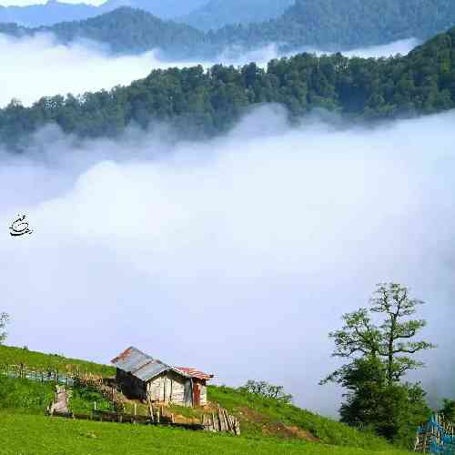 بهنام ریحانی روزی که از تو جدا شم روز مرگ خنده هامه